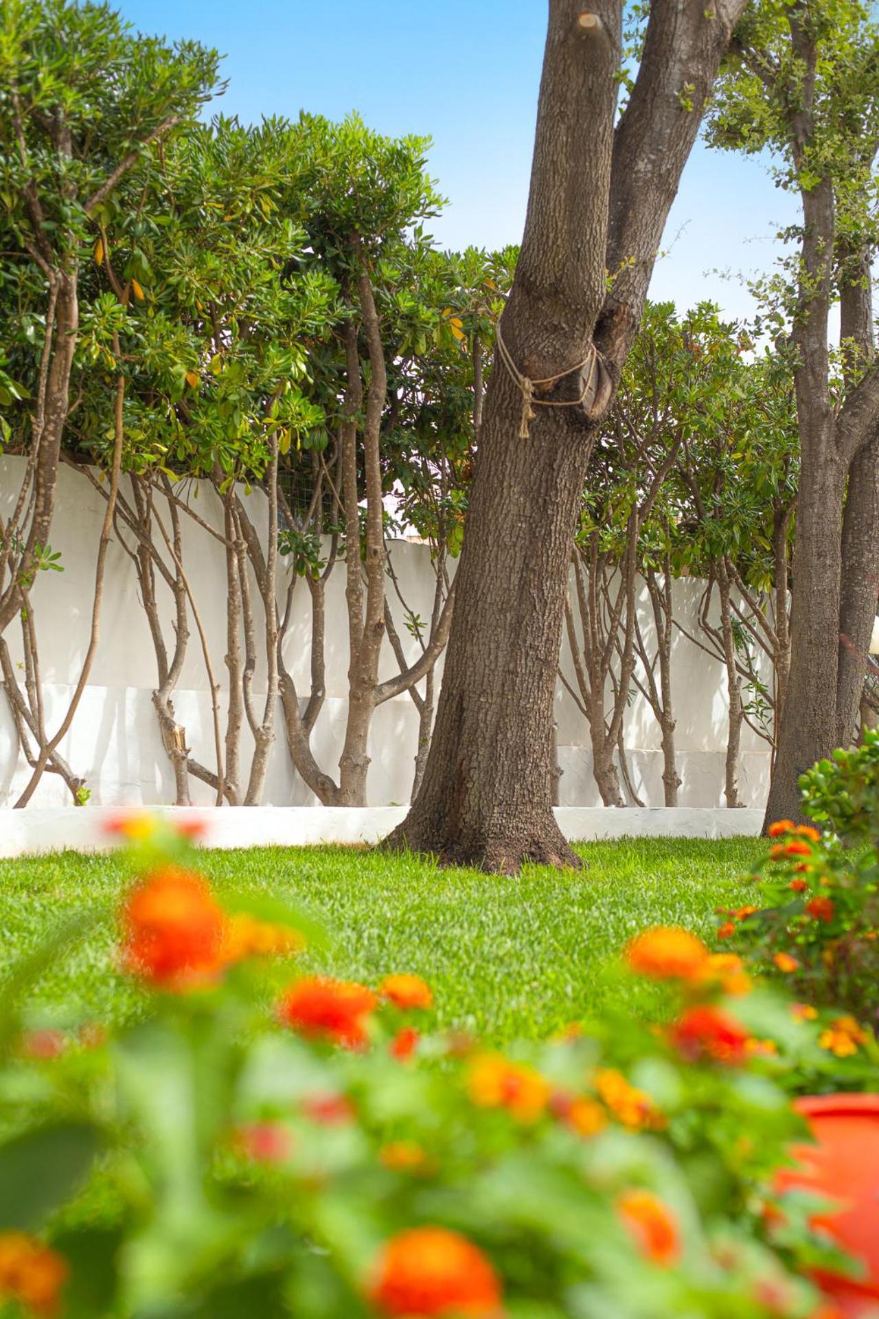 Apartamento Casa Masini San Teodoro Monte Petrosu Exterior foto